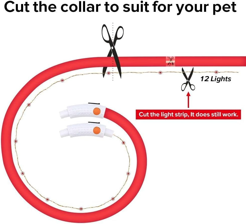 Shine Bright with Our Rechargeable LED Dog Collar - Glow in the Dark Fun for Your Pup! 🌟🐾❤️