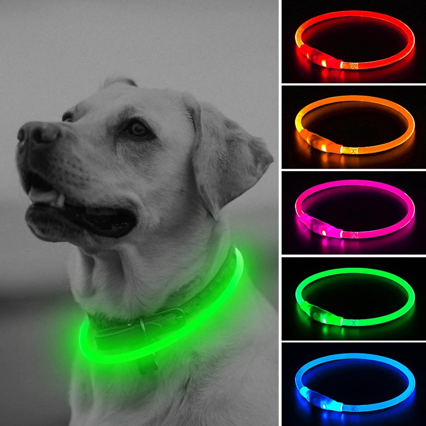 Shine Bright with Our Rechargeable LED Dog Collar - Glow in the Dark Fun for Your Pup! 🌟🐾❤️