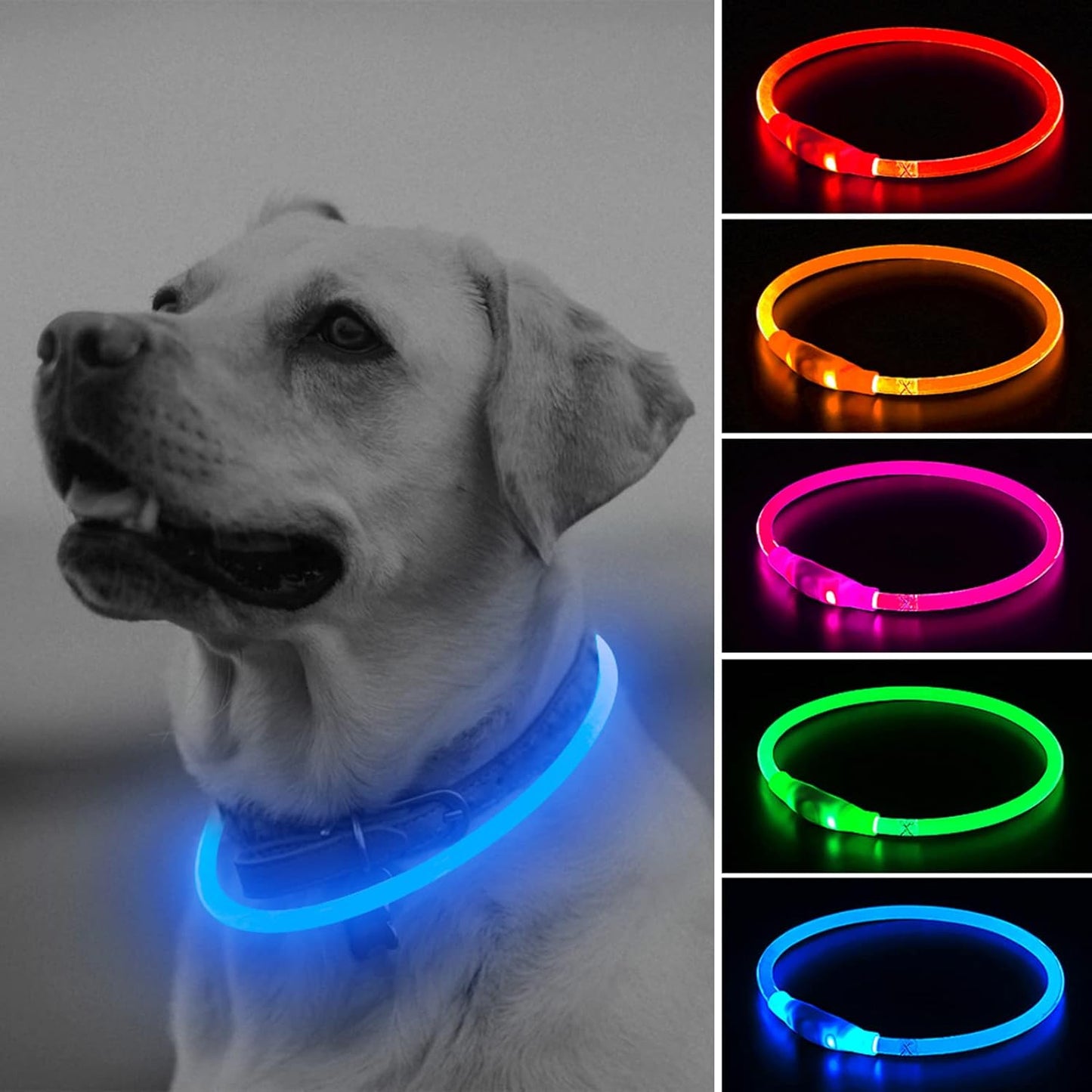 Shine Bright with Our Rechargeable LED Dog Collar - Glow in the Dark Fun for Your Pup! 🌟🐾❤️