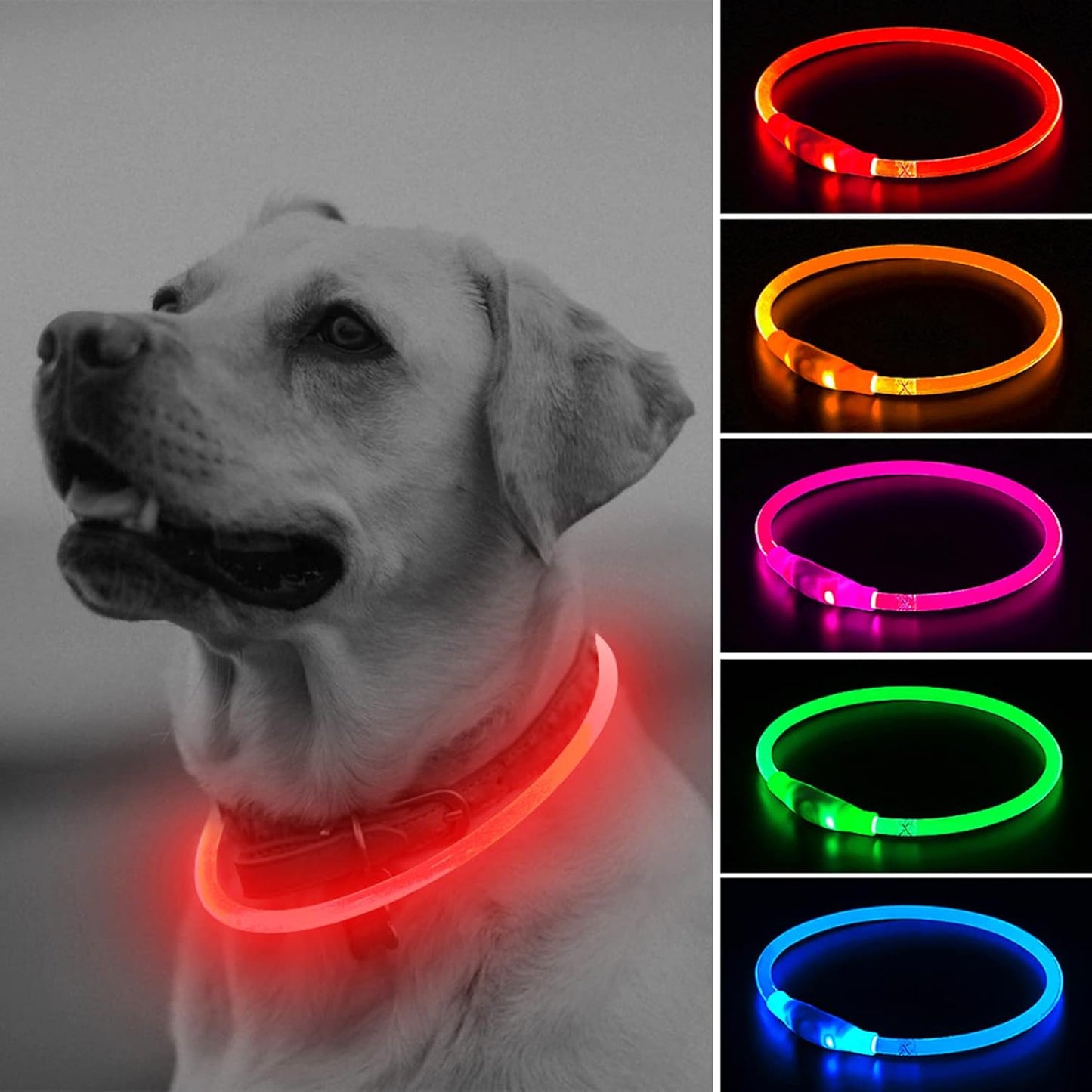 Shine Bright with Our Rechargeable LED Dog Collar - Glow in the Dark Fun for Your Pup! 🌟🐾❤️