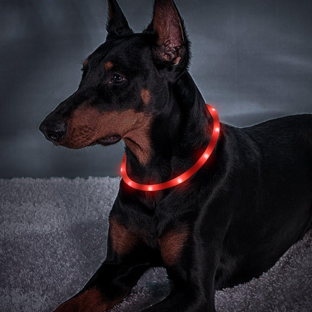 Shine Bright with Our Rechargeable LED Dog Collar - Glow in the Dark Fun for Your Pup! 🌟🐾❤️