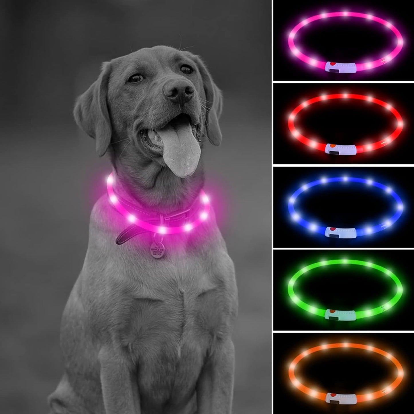 Shine Bright with Our Rechargeable LED Dog Collar - Glow in the Dark Fun for Your Pup! 🌟🐾❤️