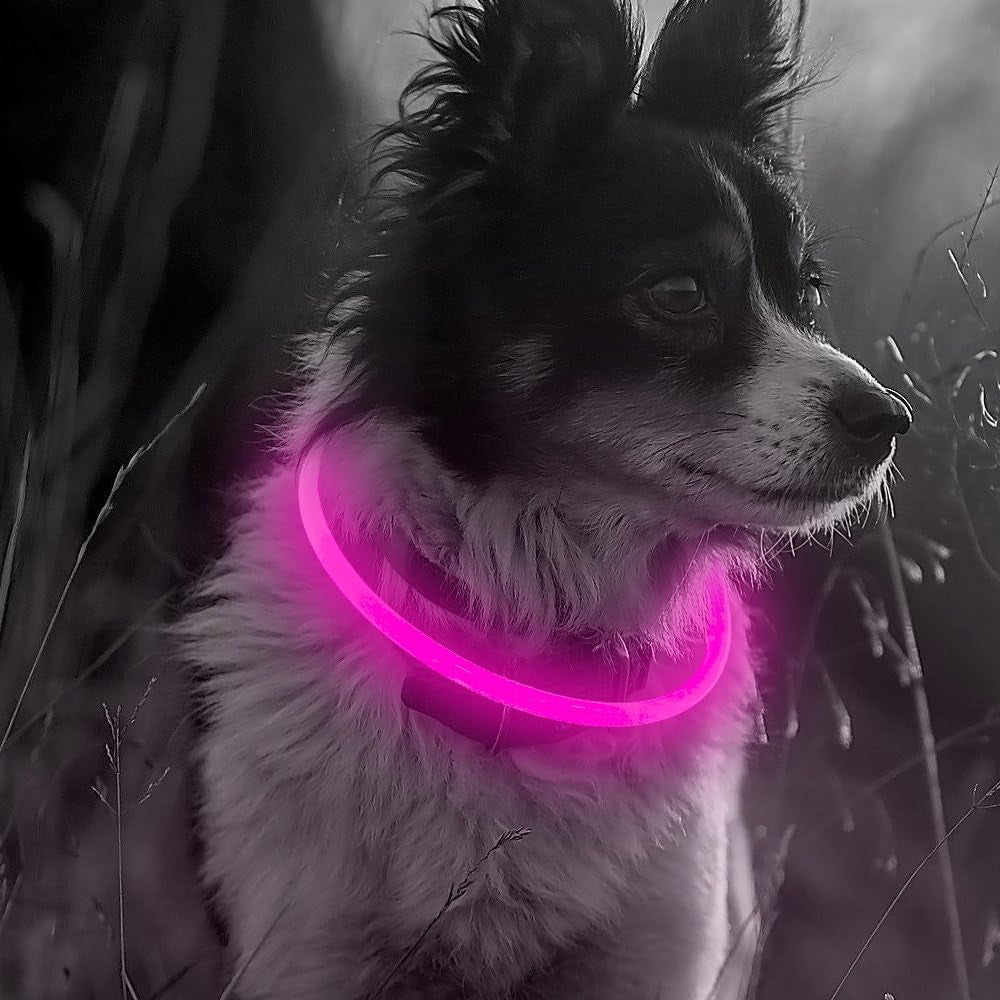 Shine Bright with Our Rechargeable LED Dog Collar - Glow in the Dark Fun for Your Pup! 🌟🐾❤️
