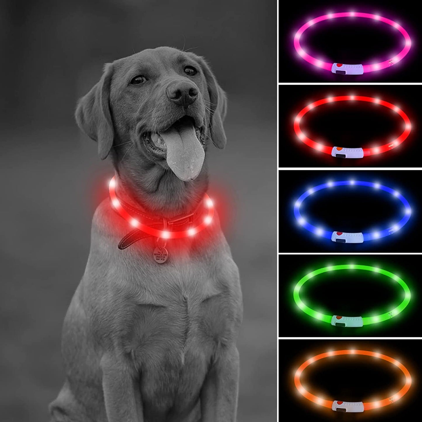 Shine Bright with Our Rechargeable LED Dog Collar - Glow in the Dark Fun for Your Pup! 🌟🐾❤️