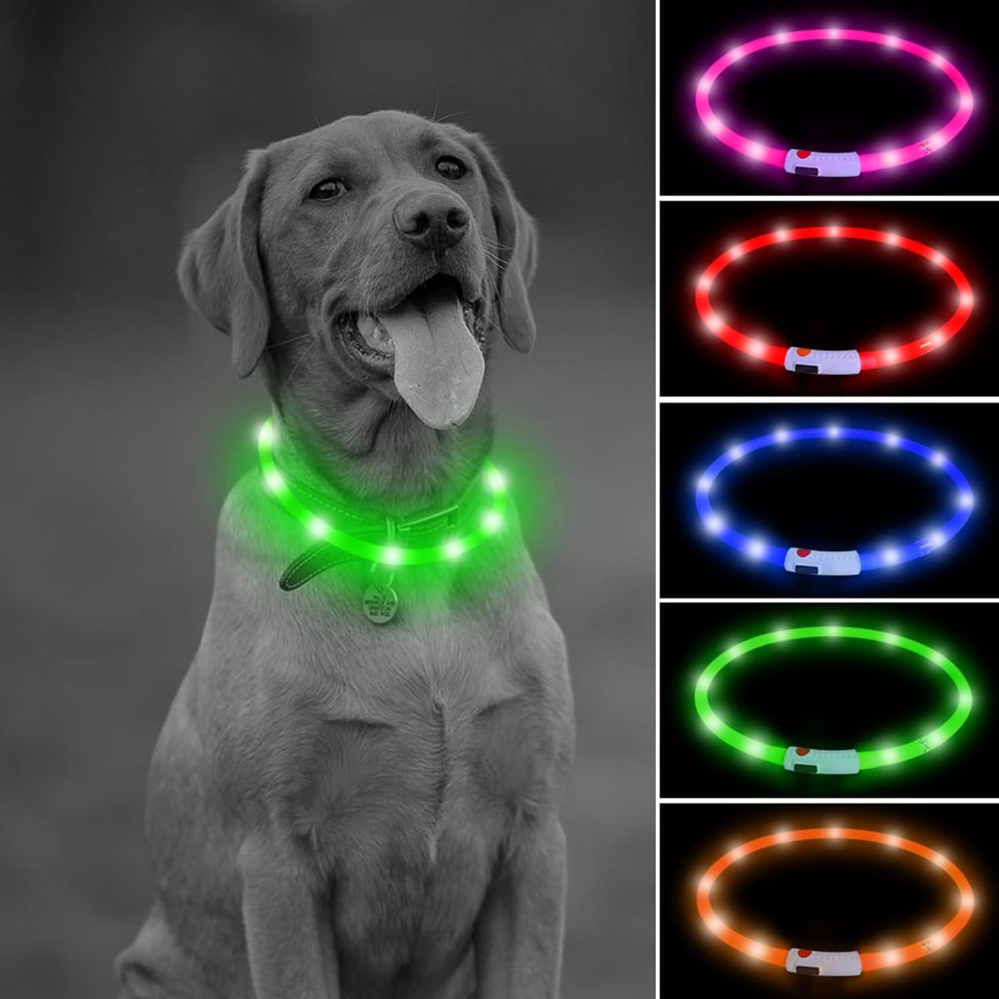 Shine Bright with Our Rechargeable LED Dog Collar - Glow in the Dark Fun for Your Pup! 🌟🐾❤️