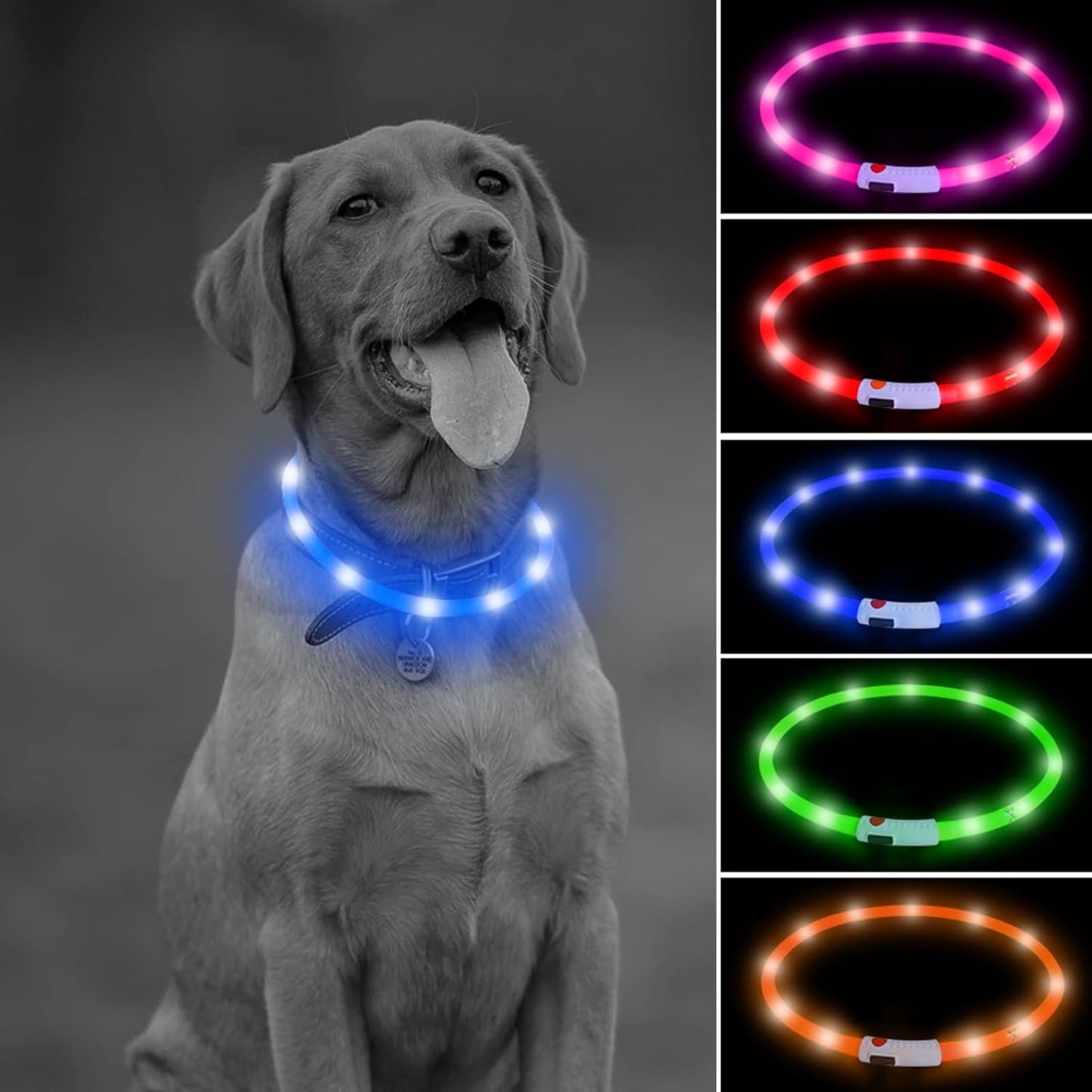 Shine Bright with Our Rechargeable LED Dog Collar - Glow in the Dark Fun for Your Pup! 🌟🐾❤️